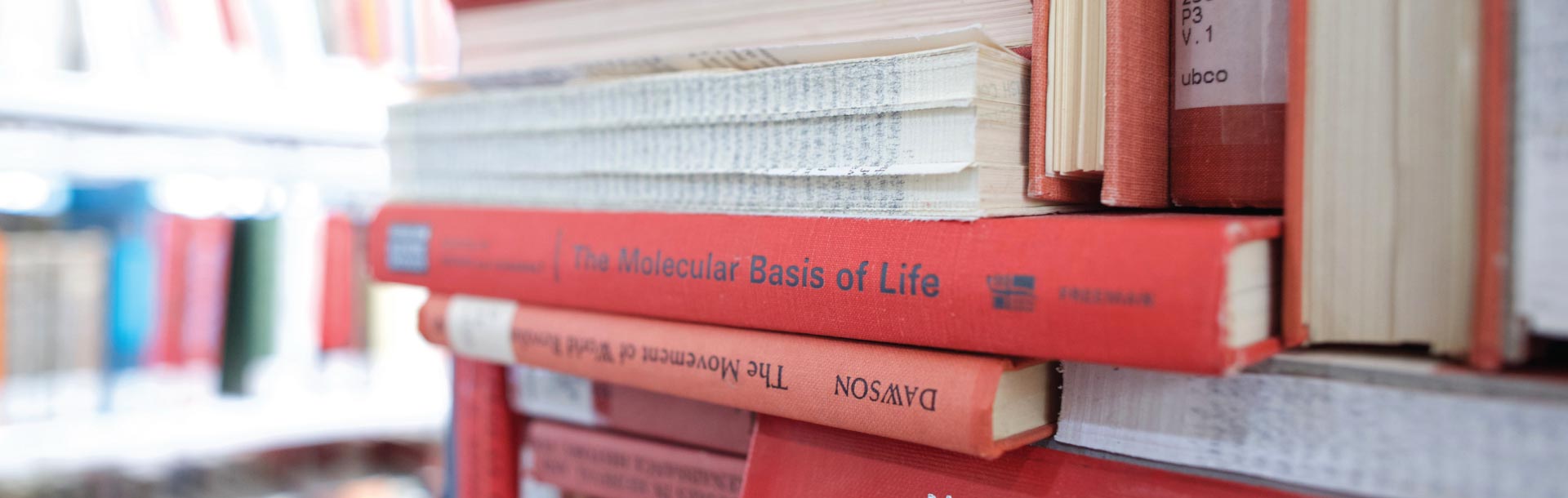 Book spines in the Library stacks