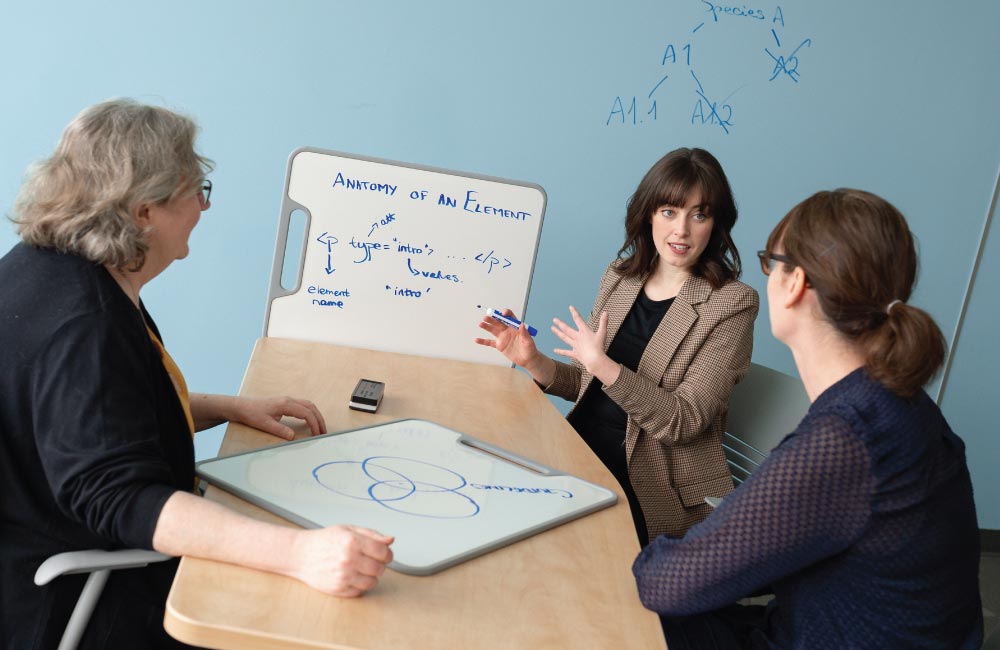 Faculty in the Library