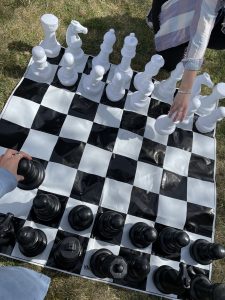 large chess game